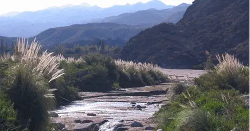 Biodiversidad Quebrada de Bele